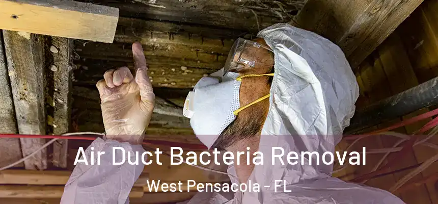 Air Duct Bacteria Removal West Pensacola - FL