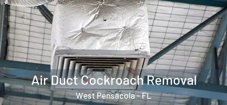 Air Duct Cockroach Removal West Pensacola - FL