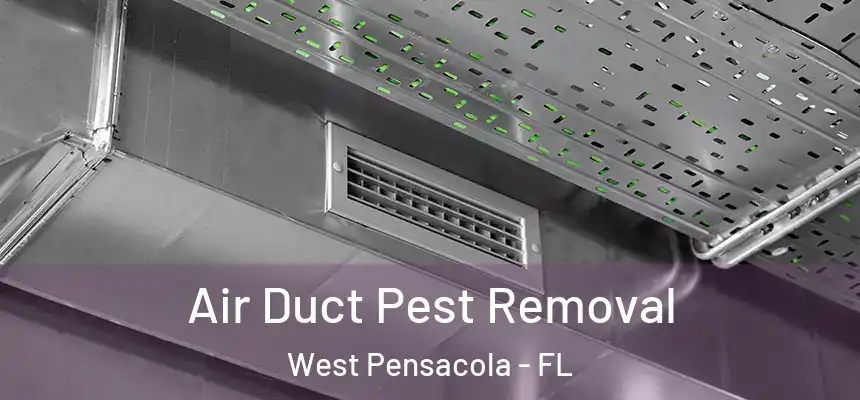 Air Duct Pest Removal West Pensacola - FL