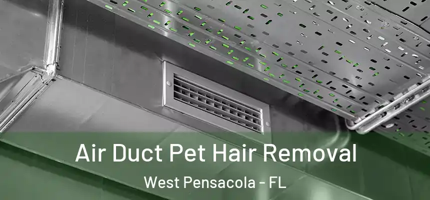Air Duct Pet Hair Removal West Pensacola - FL