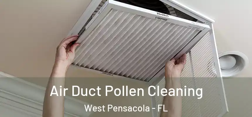 Air Duct Pollen Cleaning West Pensacola - FL