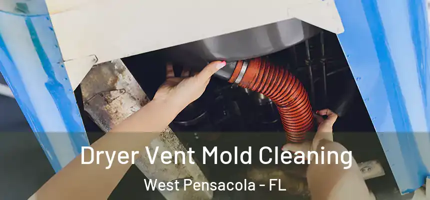 Dryer Vent Mold Cleaning West Pensacola - FL