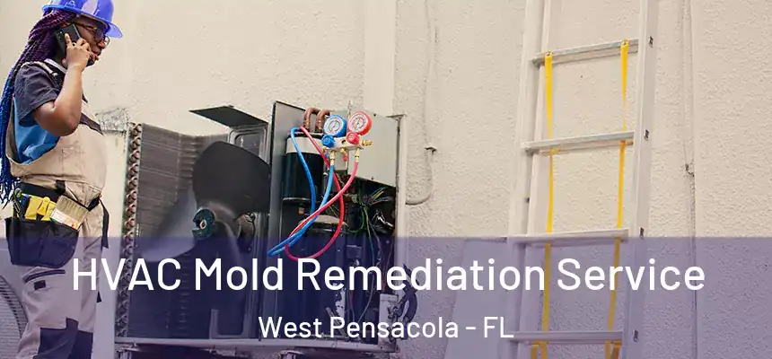 HVAC Mold Remediation Service West Pensacola - FL