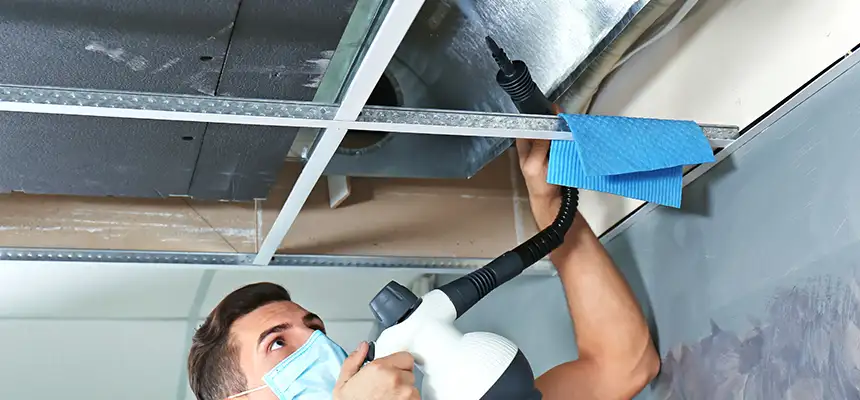 Our Air Duct Rodent Removal Services in West Pensacola, FL