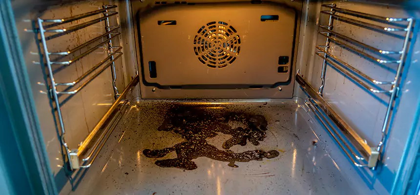 Our Dryer Vent Mold Cleaning Services in West Pensacola, FL