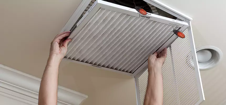 Our Insect Removal from Air Ducts Services in West Pensacola, FL