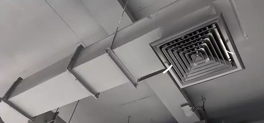 Our Pest Removal From Ducts Services in West Pensacola, FL