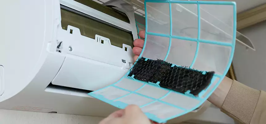 Gentle Ductwork Odor-Control Pet Dander Duct Cleaning in West Pensacola, FL