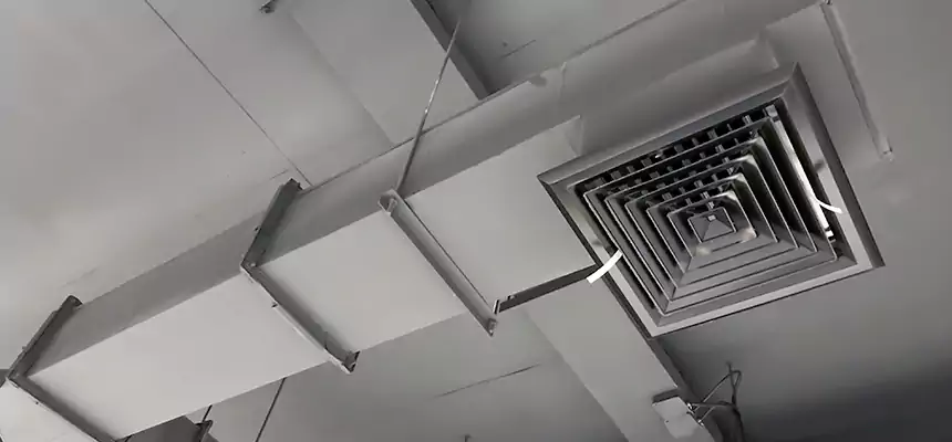 Our Rodent Droppings In Vents Services in West Pensacola, FL