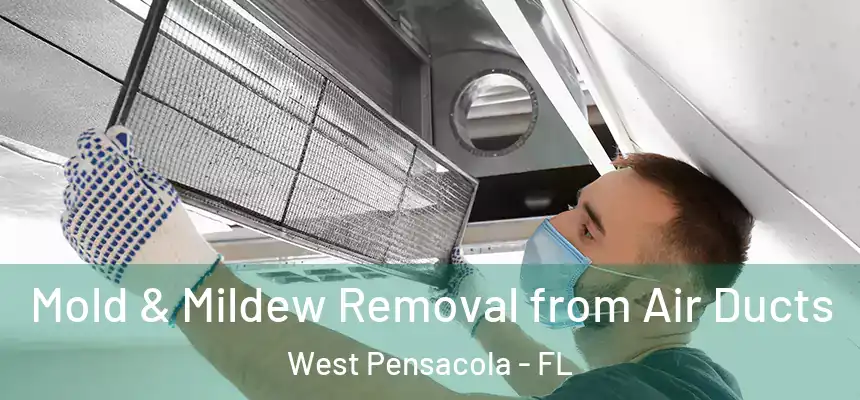 Mold & Mildew Removal from Air Ducts West Pensacola - FL