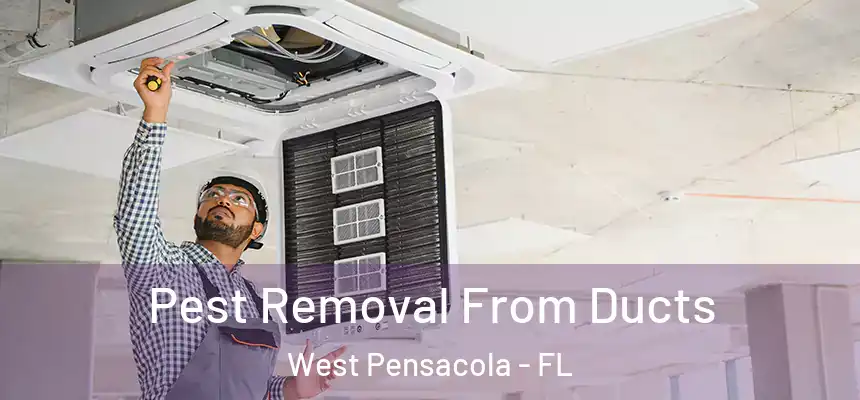 Pest Removal From Ducts West Pensacola - FL