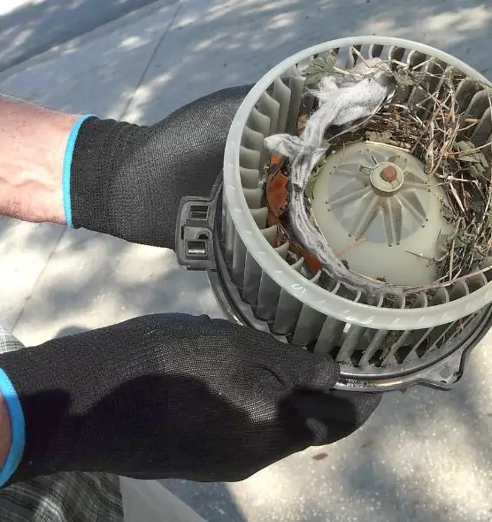 About Air Duct Mice Removal in West Pensacola, FL