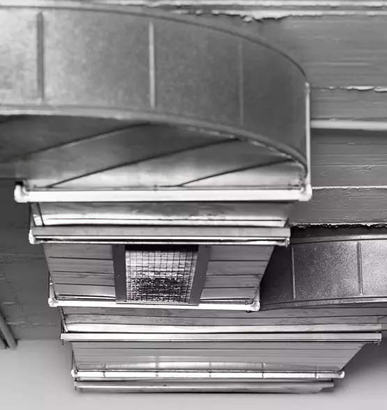 Professional Air Duct Pest Removal in West Pensacola, FL