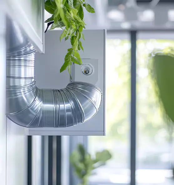 Professional Eco-Friendly Duct Cleaning Services in West Pensacola, FL