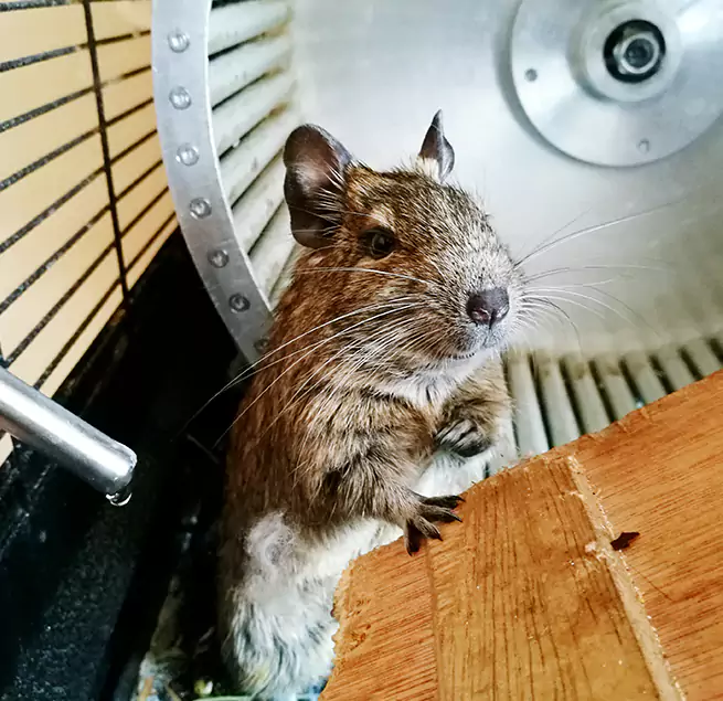 Why Homeowners & Businesses Trust Us West Pensacola, FL?