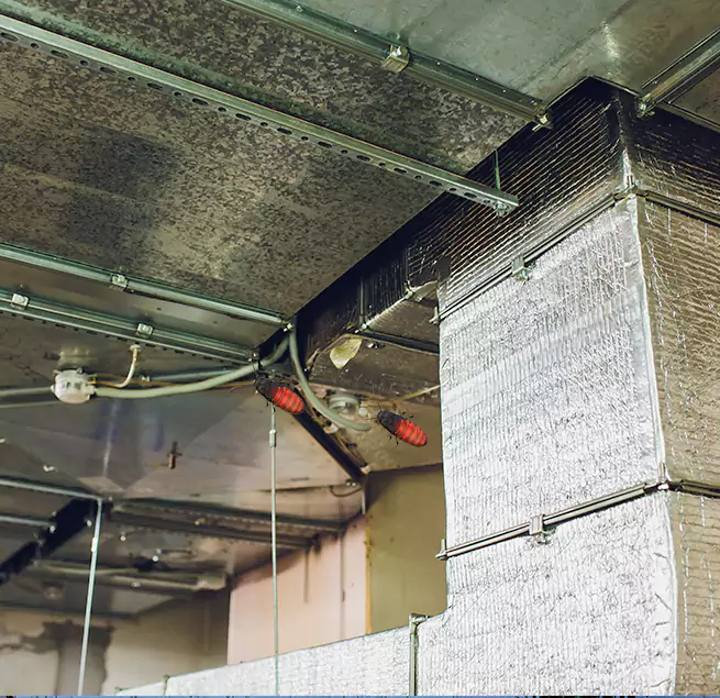 Why Homeowners & Businesses Trust Us West Pensacola, FL?