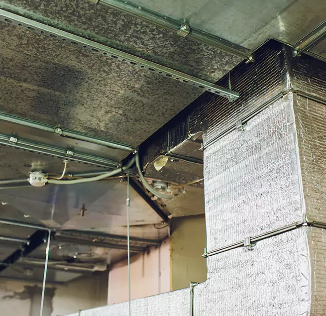 Why Homeowners & Businesses Trust Us in West Pensacola, FL?