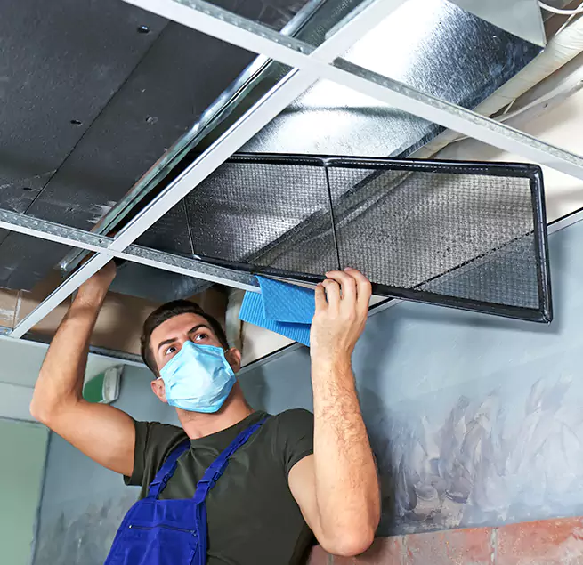 Why Homeowners Businesses Trust Us in West Pensacola, FL?